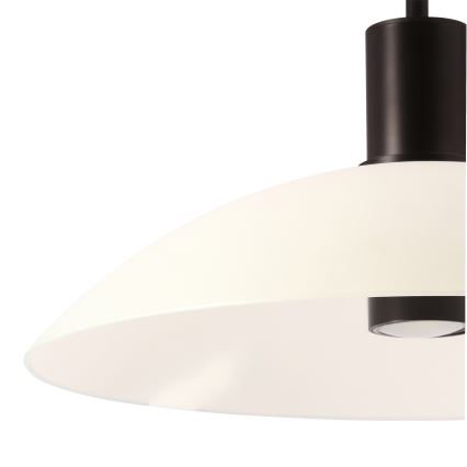 Závesný luster na lanko TEDIN 1xGU10/15W/230V biela/čierna