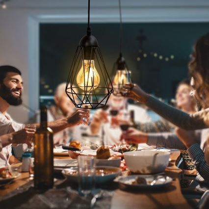 Závesný luster na lanku 1xE27/40W/230V čierny