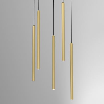 Závesný luster na lanku YORU 8xG9/8W/230V mosadz