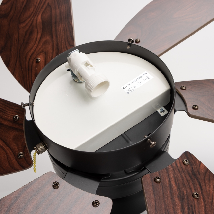 ZEVENTI - Stropný ventilátor FAMARA 1xE14/60W/230V