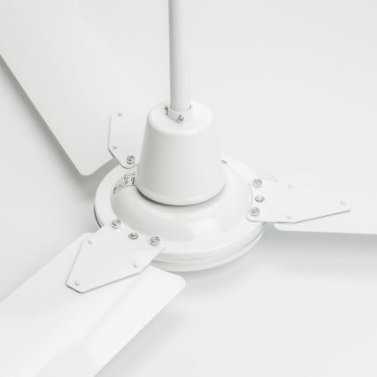 ZEVENTI - Stropný ventilátor TOFINO biela