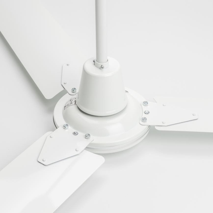 ZEVENTI - Stropný ventilátor TOFINO biela
