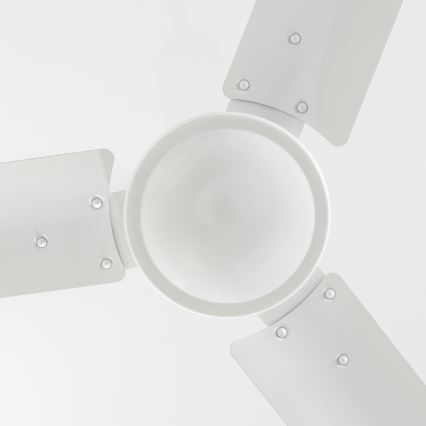 ZEVENTI - Stropný ventilátor TOFINO biela