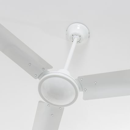 ZEVENTI - Stropný ventilátor TOFINO biela