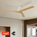 ZEVENTI - Stropný ventilátor VELLON Wi-Fi Tuya biela/paulownia + diaľkové ovládanie