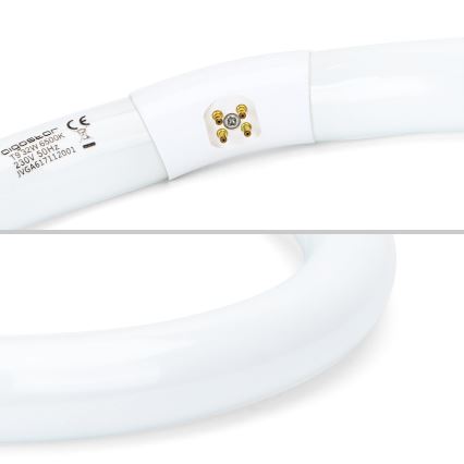 Zobrazuje sa ohnutá žiarivka s označením: diodosor, 19/32W 6500K, 230V 50Hz, JVGA617112001. Je zobrazená detailne s viditeľnými kontaktmi. Na bielom pozadí.