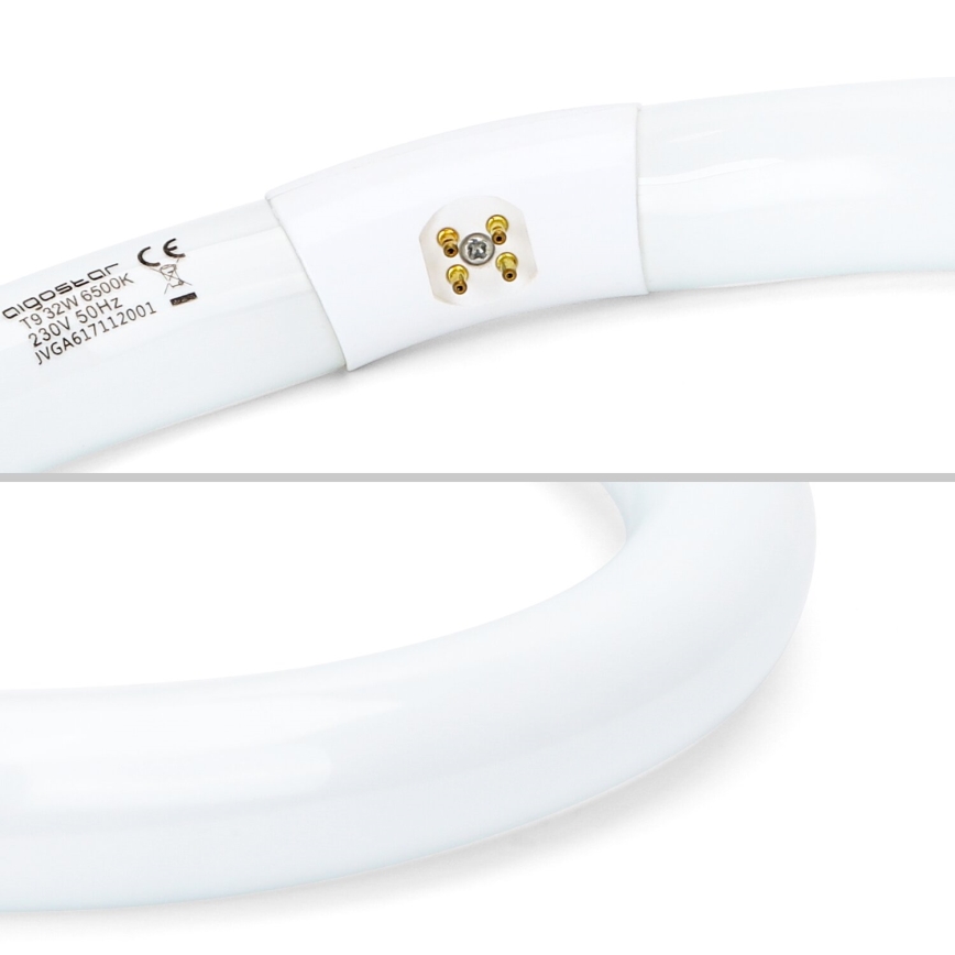 Zobrazuje sa ohnutá žiarivka s označením: diodosor, 19/32W 6500K, 230V 50Hz, JVGA617112001. Je zobrazená detailne s viditeľnými kontaktmi. Na bielom pozadí.