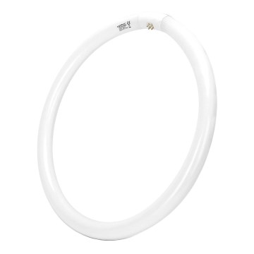 Žiarivková trubica T9 G10q/40W/230V 6500K - Aigostar