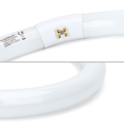 Žiarivková trubica T9 G10q/40W/230V 6500K - Aigostar