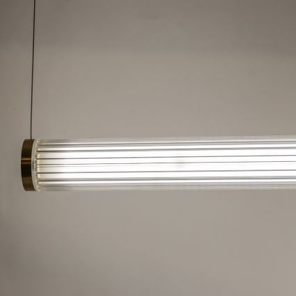 Zuma Line - stmievateľný LED luster na lanku LED/64W/230V 2700-6500K zlatý + diaľkové ovládanie