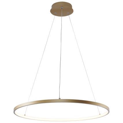 Zuma Line - LED Luster na lanku LED/28W/230V 3000/4000/6000K pr. 60 cm zlatá