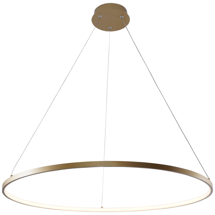 Zuma Line - LED Luster na lanku LED/36W/230V 3000/4000/6000K pr. 80 cm zlatá