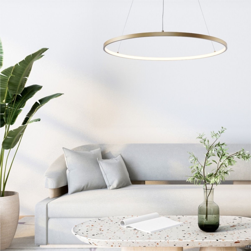 Zuma Line - LED Luster na lanku LED/36W/230V 3000/4000/6000K pr. 80 cm zlatá