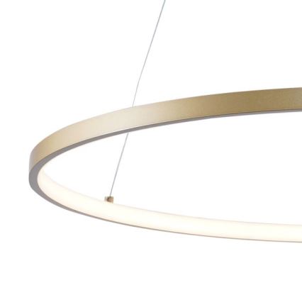 Zuma Line - LED Luster na lanku LED/36W/230V 3000/4000/6000K pr. 80 cm zlatá