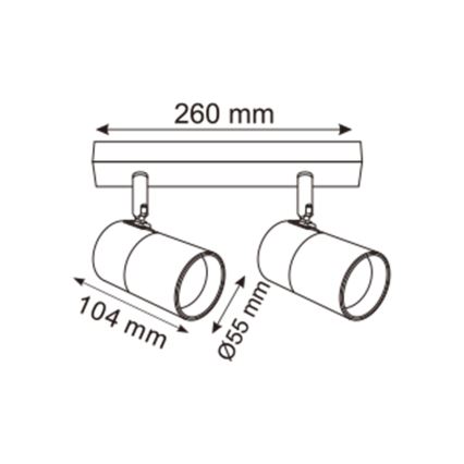 Zuma Line - Bodové svietidlo 2xGU10/50W/230V čierna/zlatá