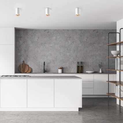 Zuma Line - LED RGBW stmievateľné bodové svietidlo 1xGU10/4,8W/230V biele + diaľkové ovládanie
