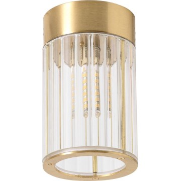 Zuma Line - Bodové svietidlo 1xG9/6W/230V zlaté