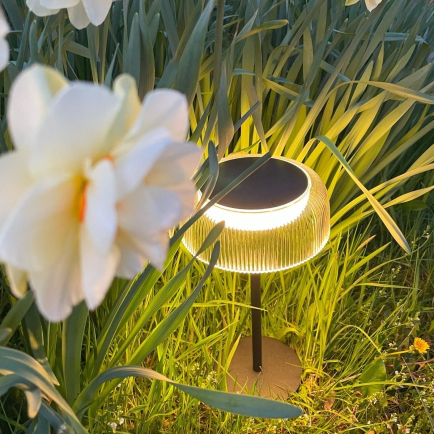 Zuma Line - LED Stmievateľná solárna nabíjacia stolná lampa LED/2,5W/2000 mAh IP44 čierna