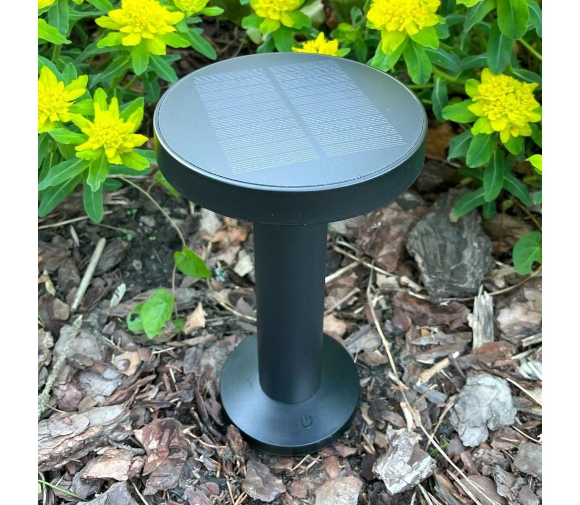 Zuma Line DT33611 - LED Solárna lampa CARLI LED/2W/2000 mAh IP44 čierna DT33611