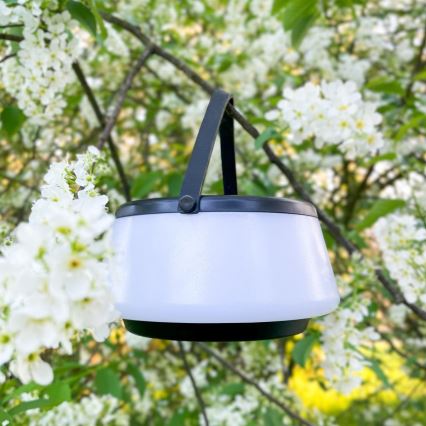 Zuma Line - LED Stmievateľná solárna nabíjacia stolná lampa LED/2,2W/2000 mAh IP44 čierna