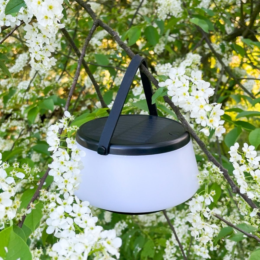 Zuma Line - LED Stmievateľná solárna nabíjacia stolná lampa LED/2,2W/2000 mAh IP44 čierna