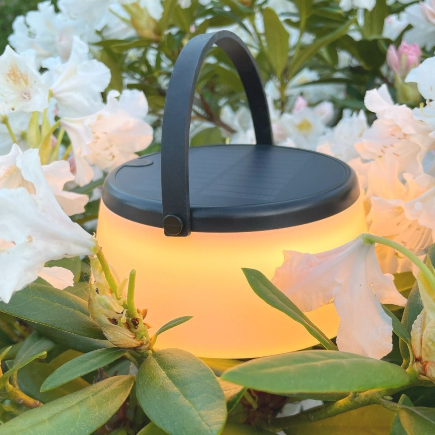 Zuma Line - LED Stmievateľná solárna nabíjacia stolná lampa LED/2,2W/2000 mAh IP44 čierna