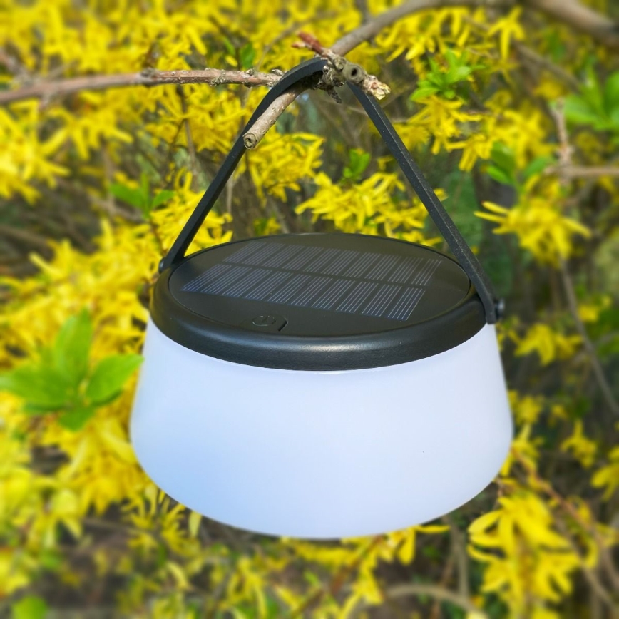 Zuma Line - LED Stmievateľná solárna nabíjacia stolná lampa LED/2,2W/2000 mAh IP44 čierna