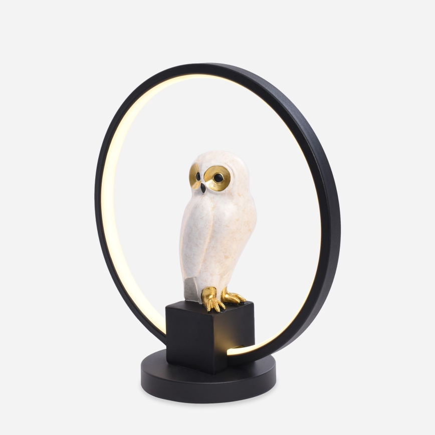Zuma Line - LED Stolná lampa LED/4W/5V čierna/biela