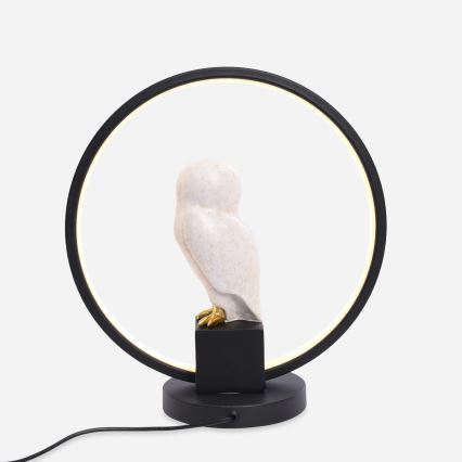 Zuma Line - LED Stolná lampa LED/4W/5V čierna/biela