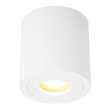 Zuma Line - Kúpeľňové bodové svietidlo 1xGU10/50W/230V IP44 biela