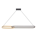 Zuma Line - LED luster na lanku 2xLED/40W/230V čierna/zlatá