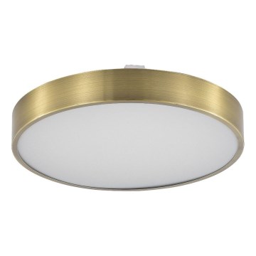 Zuma Line - LED Stmievateľné kúpeľňové stropné svietidlo LED/50W/230V 3000-6000K pr. 50 cm IP44 mosadz + diaľkové ovládanie