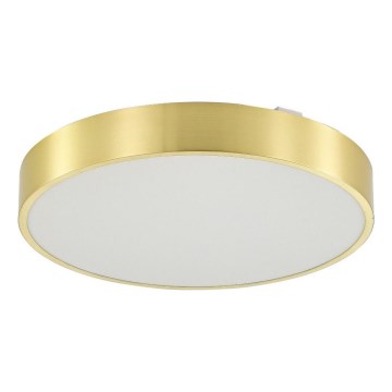 Zuma Line - LED Stmievateľné kúpeľňové stropné svietidlo LED/50W/230V 3000-6000K pr. 50 cm IP44 zlatá + diaľkové ovládanie