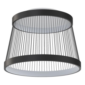 Zuma Line - LED Stmievateľné stropné svietidlo LED/32W/230V 2700-6000K čierna + diaľkové ovládanie