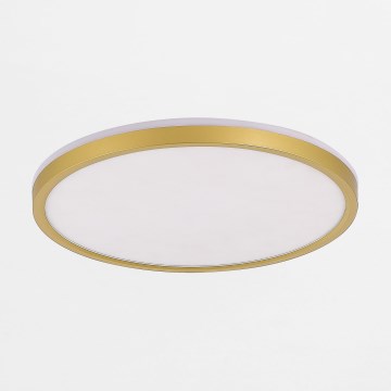 Zuma Line - LED Stmievateľné stropné svietidlo LED/38W/230V + LED/11W 3000/4000/5500K pr. 50 cm zlatá