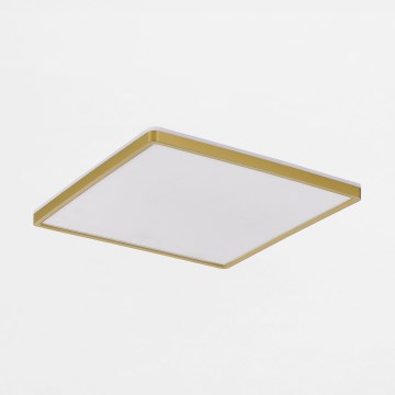 Zuma Line - LED Stmievateľné stropné svietidlo LED/38W/230V + LED/12W 3000/4000/5500K 40x40 cm zlatá