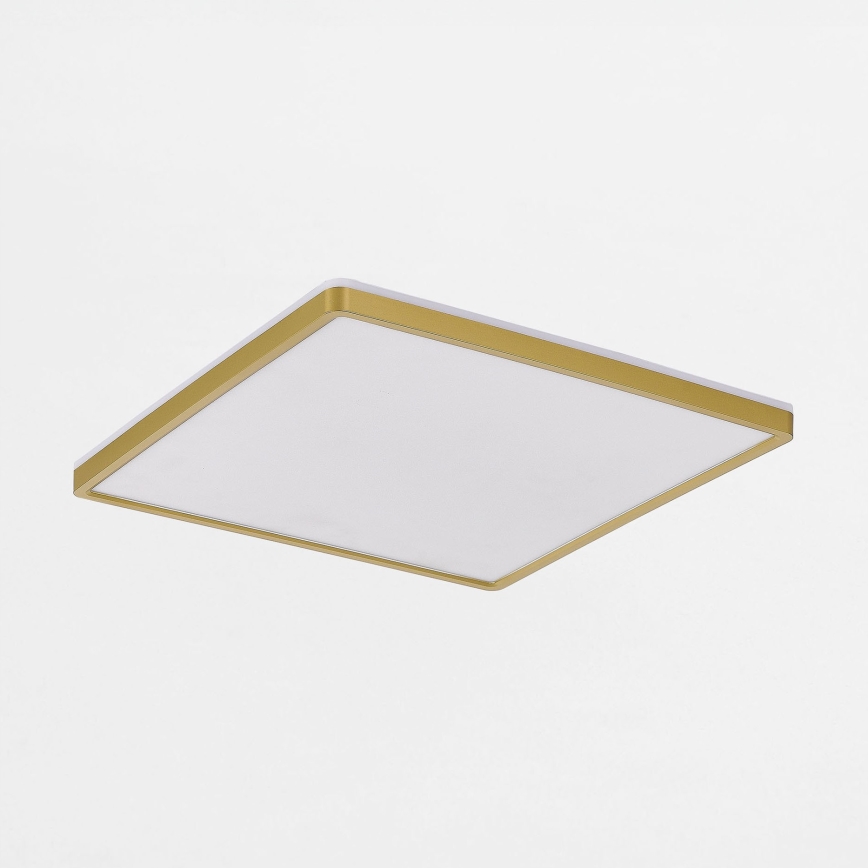 Zuma Line - LED Stmievateľné stropné svietidlo LED/38W/230V + LED/12W 3000/4000/5500K 40x40 cm zlatá