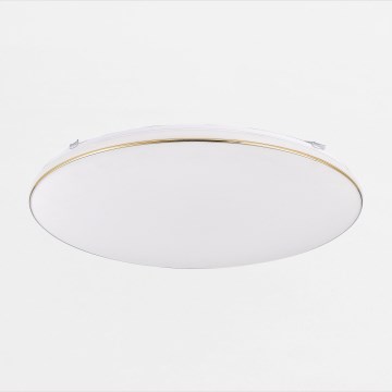 Zuma Line - LED Stmievateľné stropné svietidlo OMAR LED/48W/230V pr. 53 cm zlatá