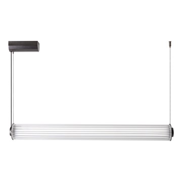 Zuma Line - LED stmievateľný luster na lankách LED/39W/230V 2700-6500K čierny + diaľkové ovládanie