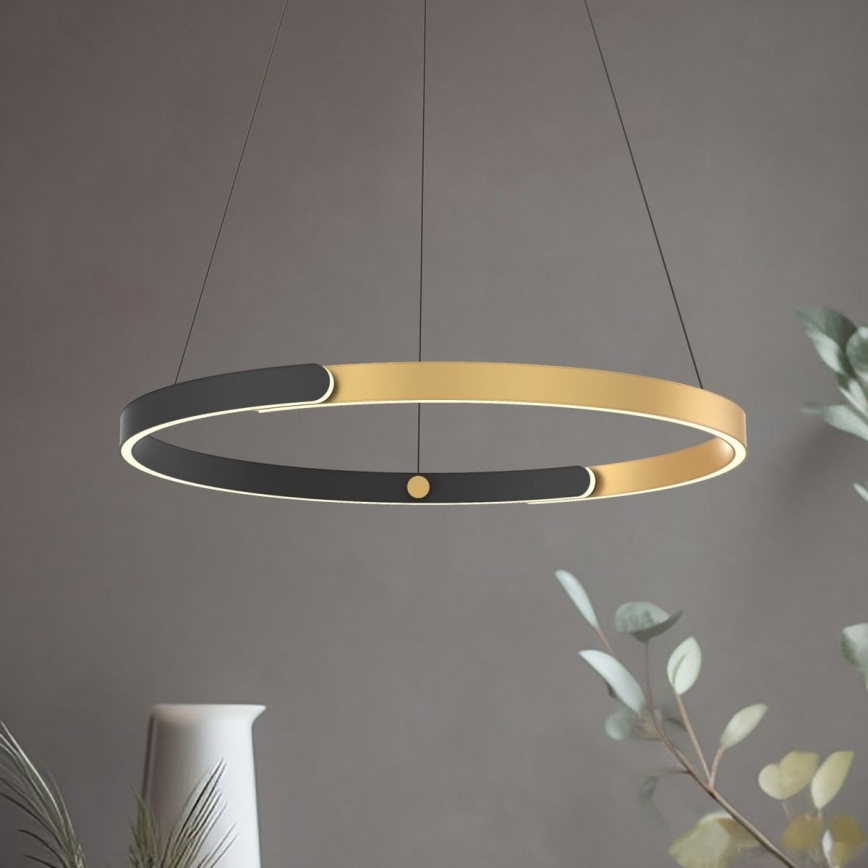 Zuma Line - LED Stmievateľný luster na lanku LED/30W/230V čierna/zlatá