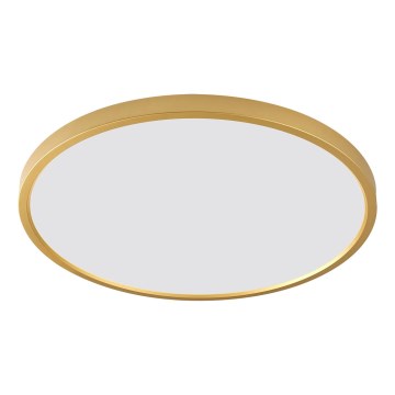 Zuma Line - LED stropné svietidlo CAMI LED/36W/230V 3000/4000/6000K priemer 40 cm zlaté