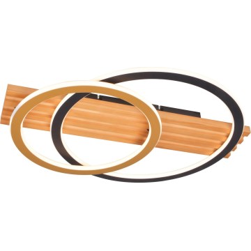 Zuma Line - LED stropné svietidlo LED/40W/230V