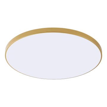 Zuma Line - LED stropné svietidlo VERI LED/32W/230V priemer 37 cm zlaté