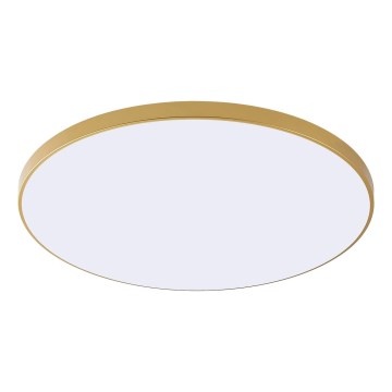 Zuma Line - LED stropné svietidlo VERI LED/44W/230V pr. 47 cm zlaté