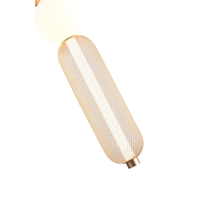 Zuma Line - LED stmievateľný luster na lane LED/27 W/230 V 3000–5700 K zlatý + diaľkové ovládanie