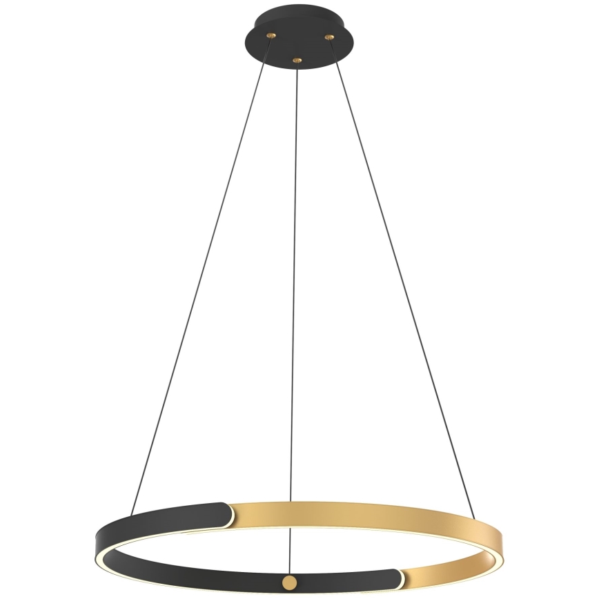 Zuma Line - LED Stmievateľný luster na lanku LED/30W/230V čierna/zlatá