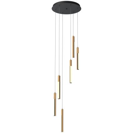 Zuma Line - LED Stmievateľný luster na lanku LED/25W/230V