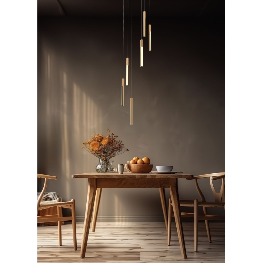 Zuma Line - LED Stmievateľný luster na lanku LED/25W/230V
