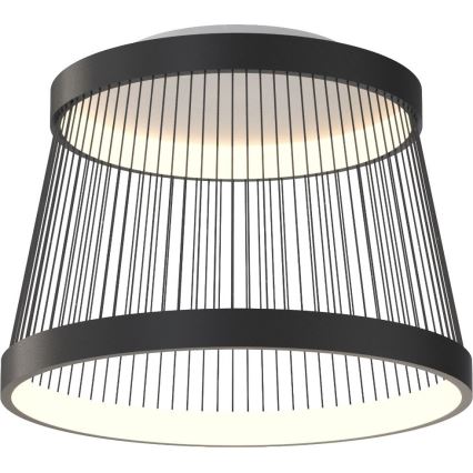 Zuma Line - LED Stmievateľné stropné svietidlo LED/32W/230V 2700-6000K čierna + diaľkové ovládanie