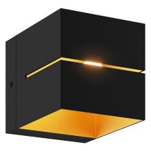 Zuma Line - Nástenné svietidlo 1xG9/40W/230V čierna/zlatá